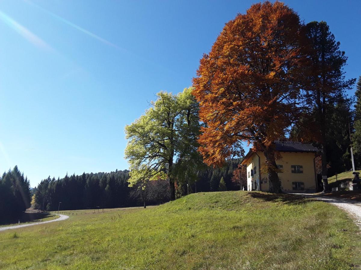 Chalet Musiera Aparthotel Castrozzi Bagian luar foto