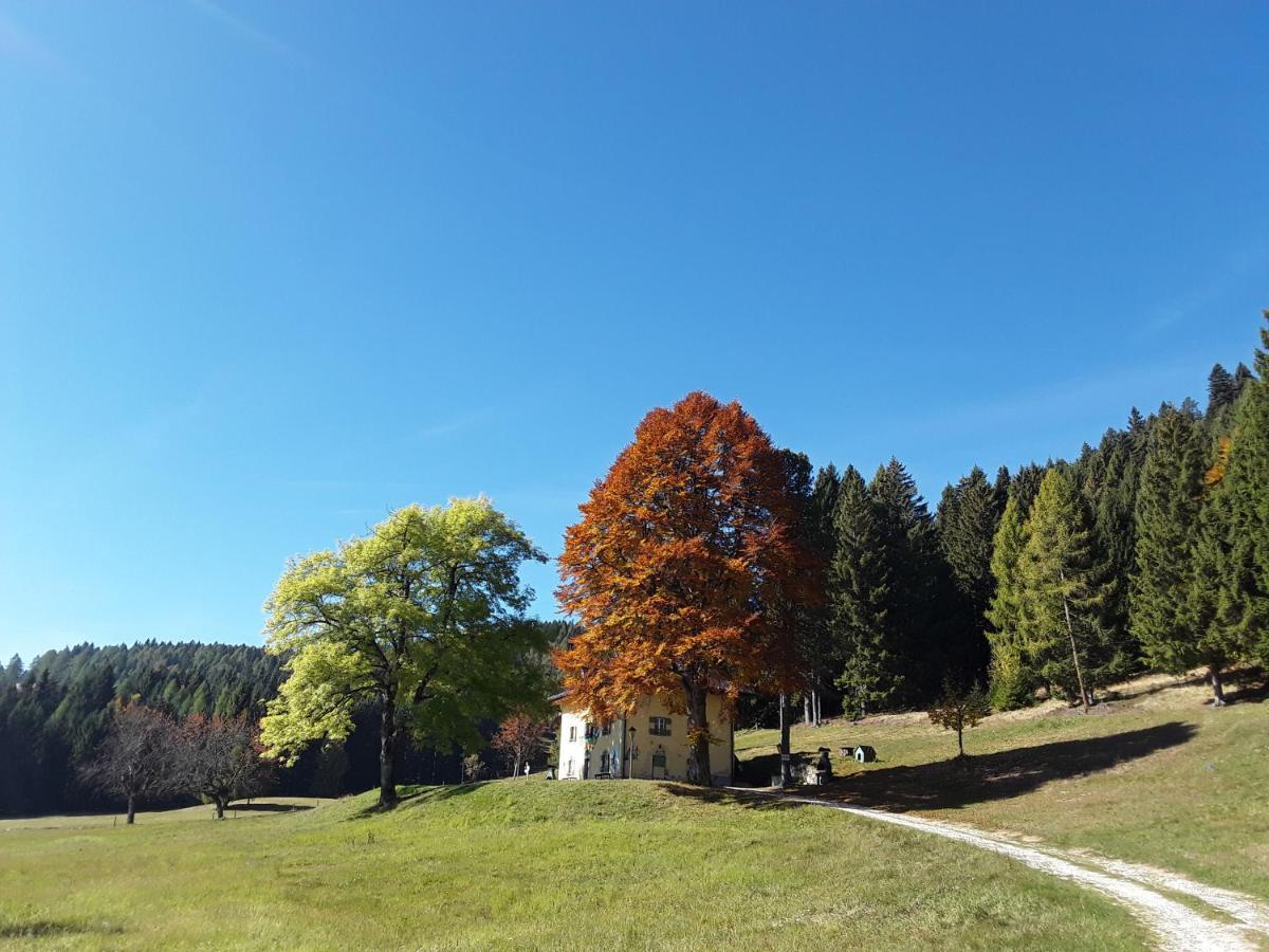 Chalet Musiera Aparthotel Castrozzi Bagian luar foto